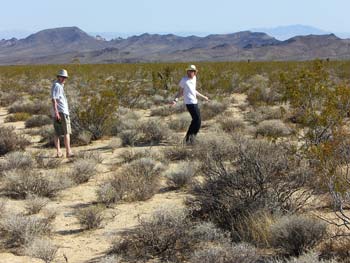 Although Andy T and Tom still managed to take a wrong turn.