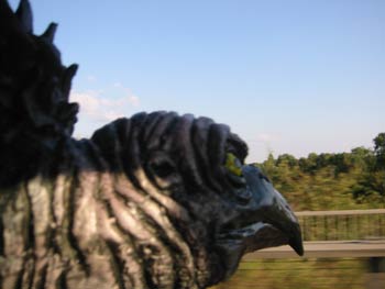 Our vulture of doom enjoying the ride.