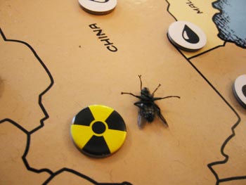 We found this fly keeled over in China one morning. What killed him? We don't know, but we thought the radiation counter told a story.