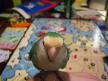 BamBam, the lovebird, is promoted to Minister of War and Andy S has a powerful new ally.