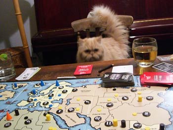 'Predator', the Bunker cat, takes an interest, post-game.